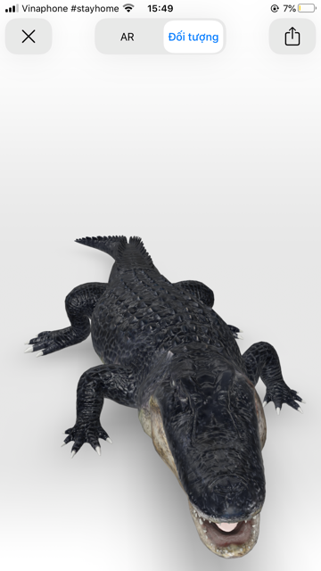 Cách mời thú hoang vào nhà chụp ảnh chung ảnh 4