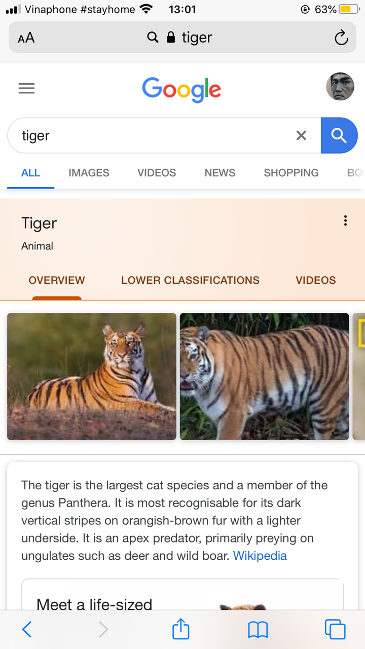 Cách mời thú hoang vào nhà chụp ảnh chung ảnh 1