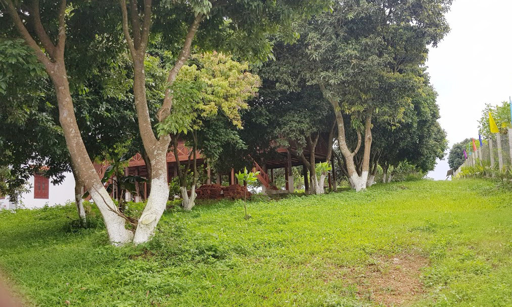 Cận cảnh biệt thự, nhà vườn trái phép 'mọc' trên đồi ở Ba Vì ảnh 12