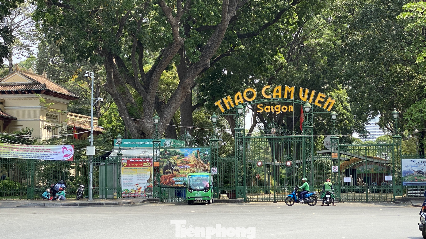 Sài Gòn trước và trong mùa dịch bệnh COVID-19 ảnh 20