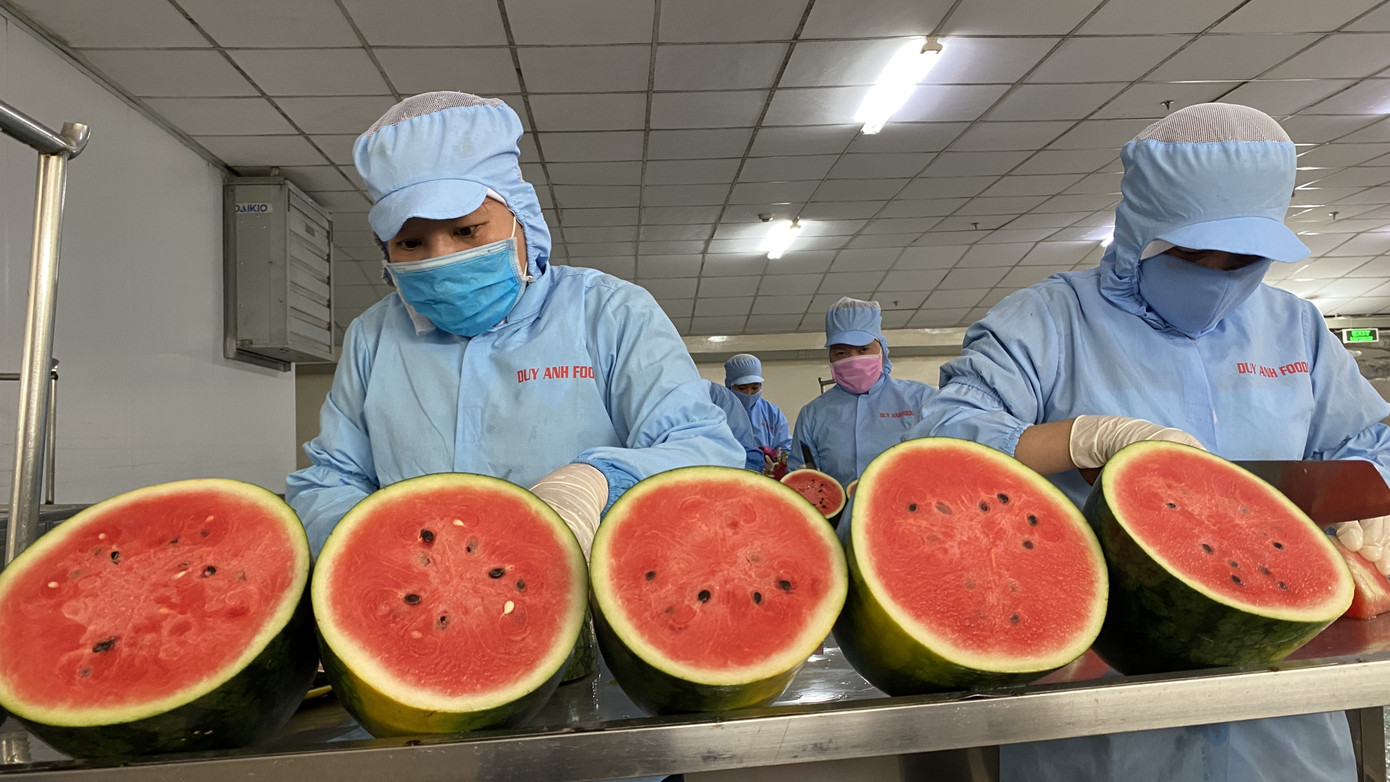 Cận cảnh quy trình 'giải cứu' thanh long, dưa hấu mùa dịch Covid-19 ảnh 3