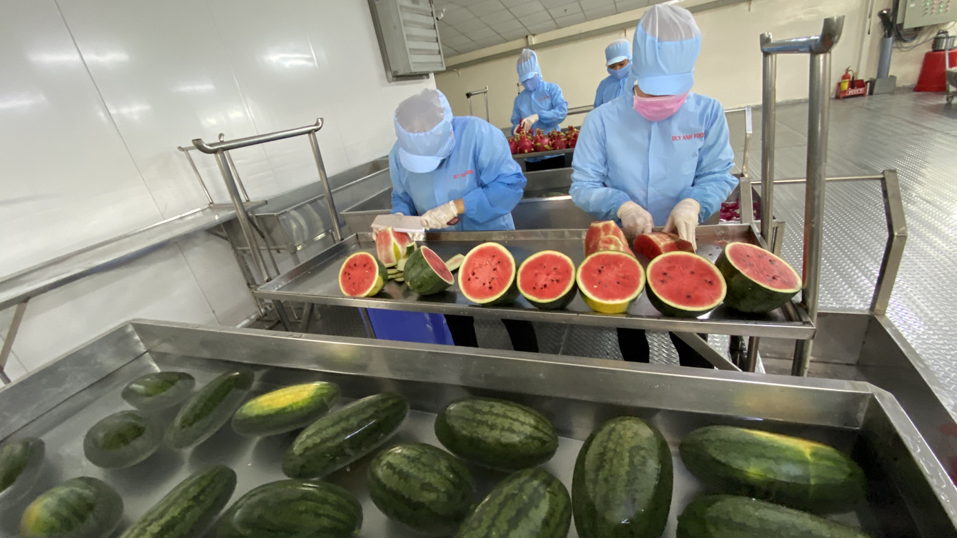 Cận cảnh quy trình 'giải cứu' thanh long, dưa hấu mùa dịch Covid-19 ảnh 2