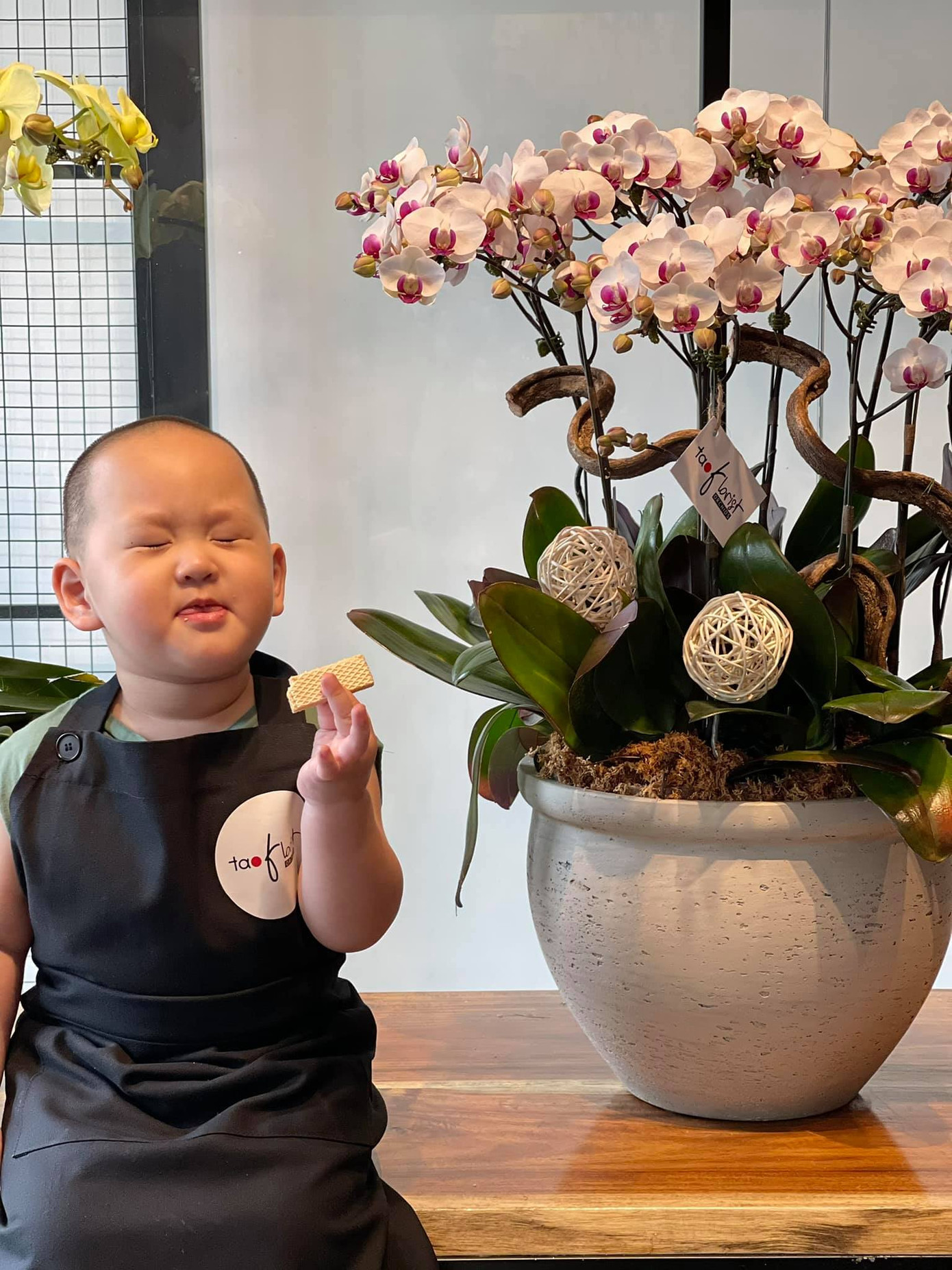 “Thế lực nhí” của V-Biz bất ngờ chiếm sóng hơn cả bố mẹ trên mạng xã hội ảnh 11