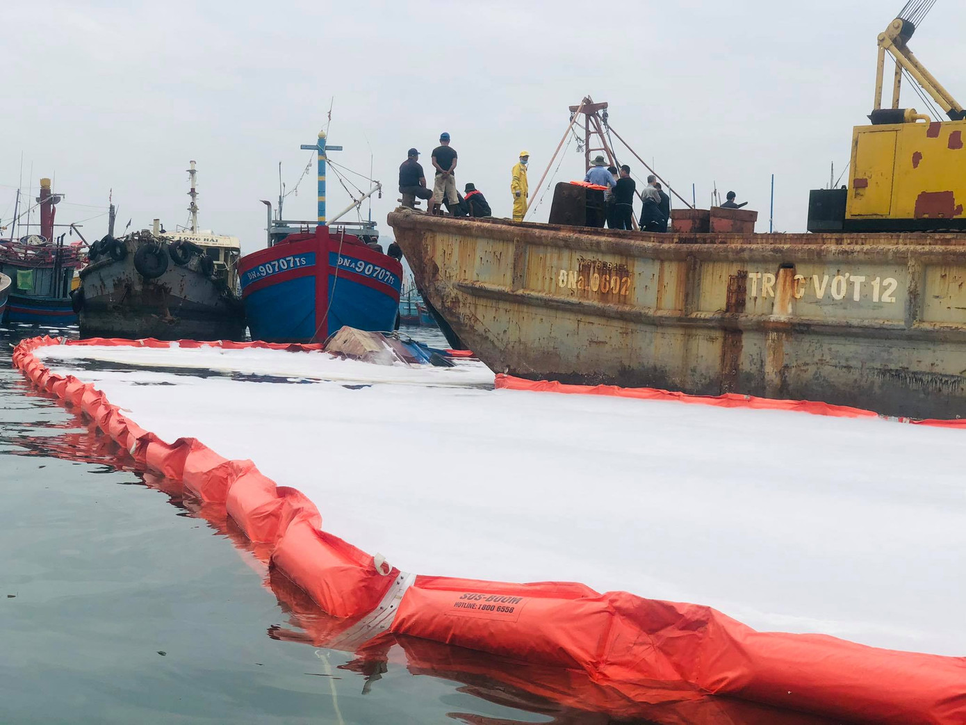 Khẩn trương xử lý sự cố tràn dầu trên âu thuyền, cảng cá Thọ Quang ảnh 5