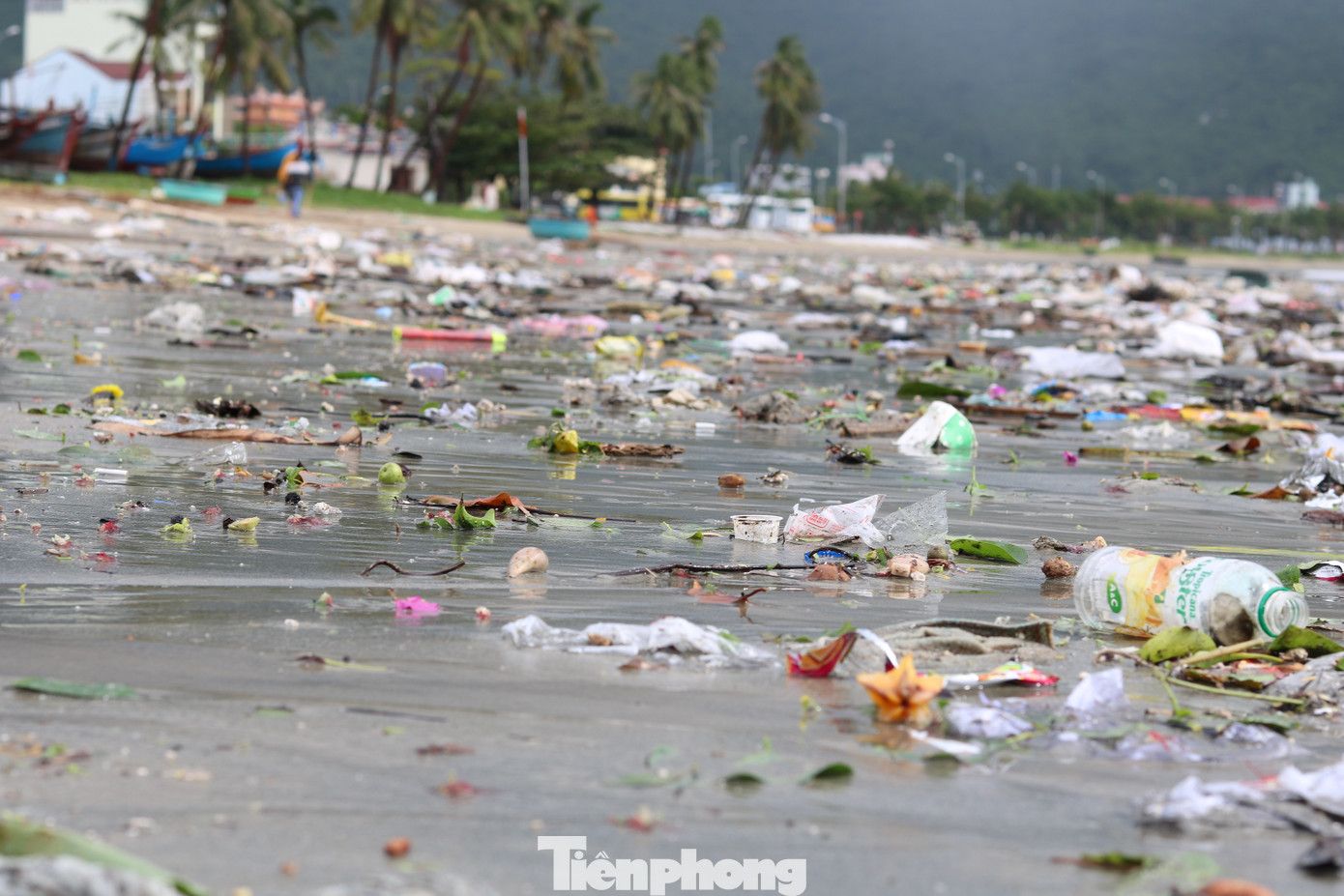 Bãi biển Đà Nẵng ngập rác sau bão ảnh 4