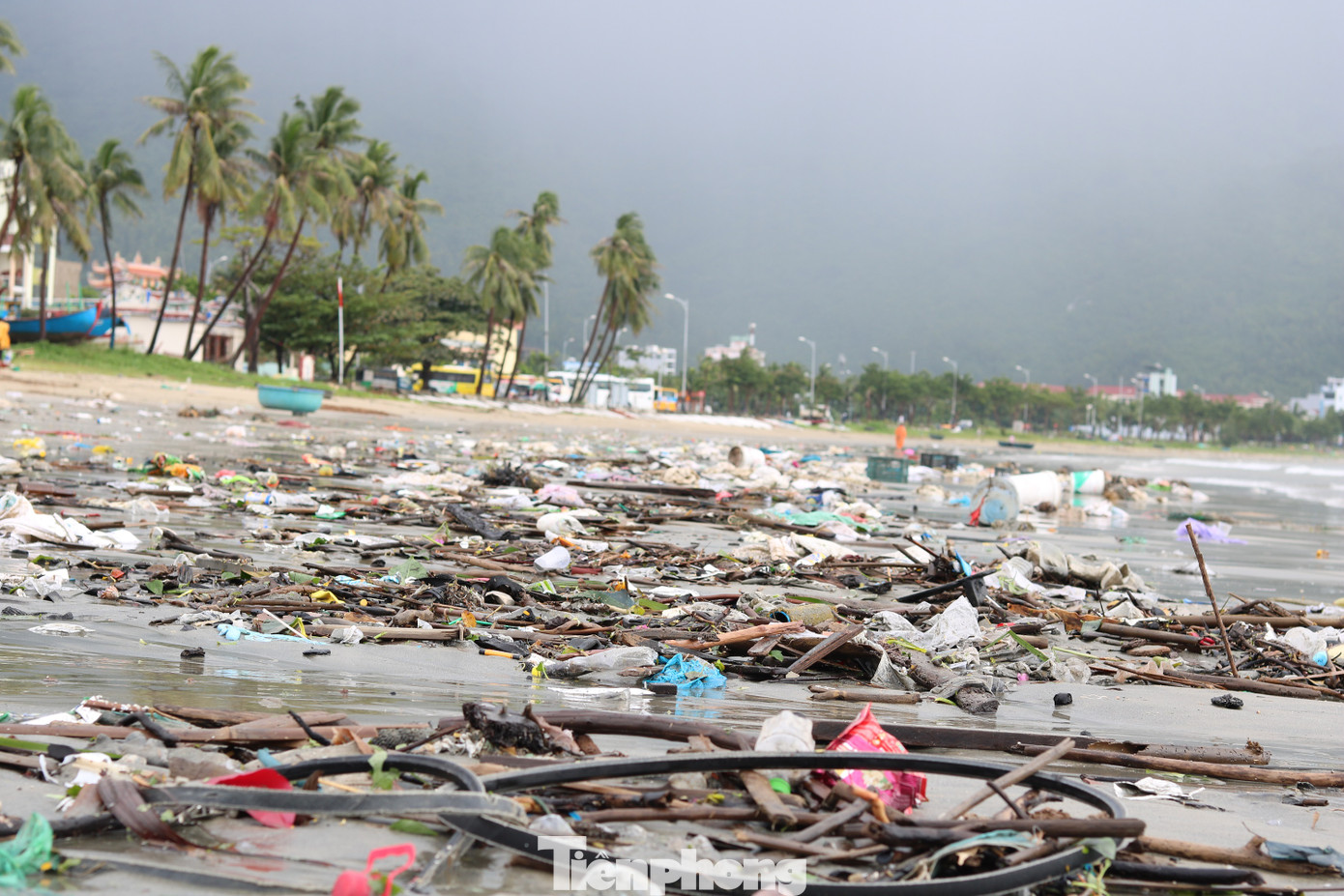 Bãi biển Đà Nẵng ngập rác sau bão ảnh 1