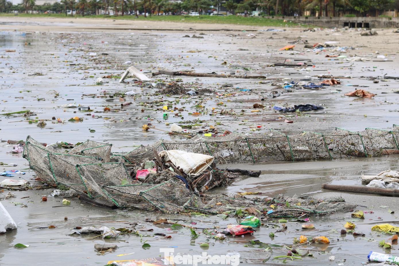 Bãi biển Đà Nẵng ngập rác sau bão ảnh 10