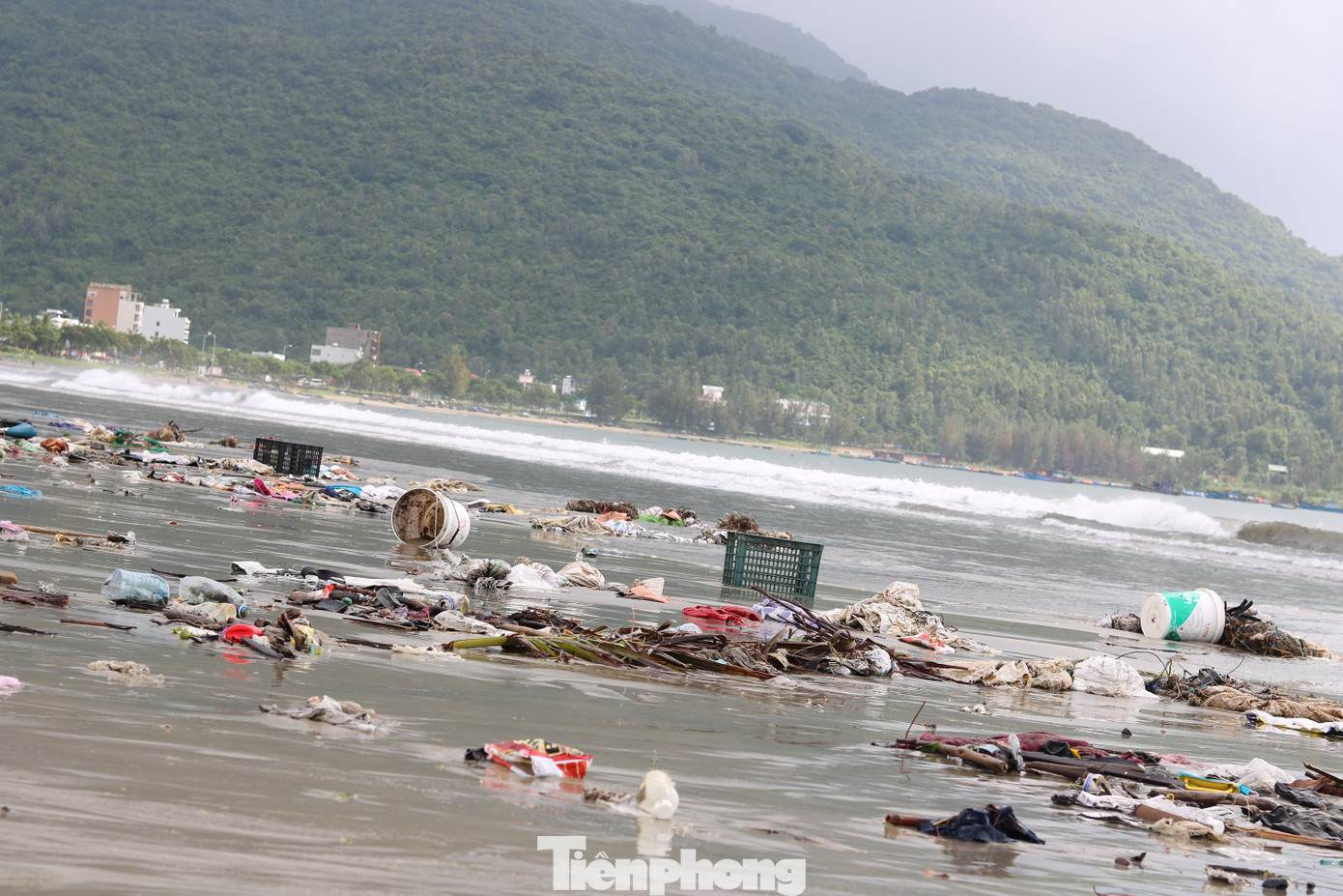 Bãi biển Đà Nẵng ngập rác sau bão ảnh 5