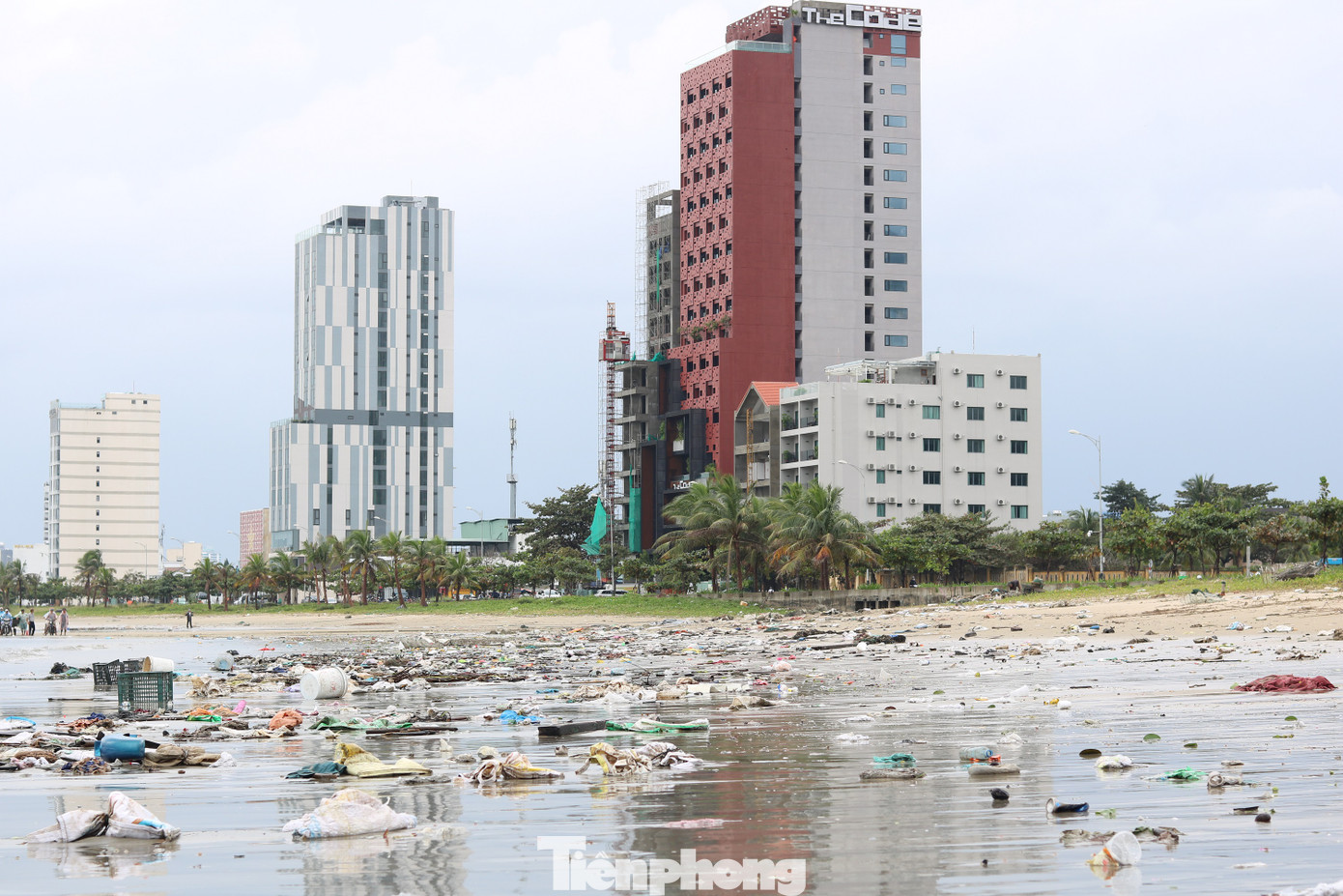 Bãi biển Đà Nẵng ngập rác sau bão ảnh 3