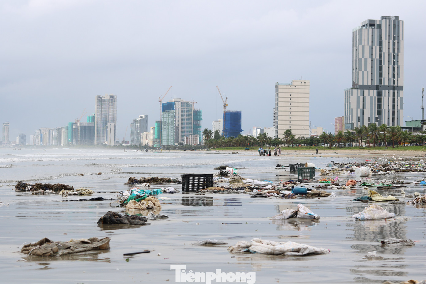 Bãi biển Đà Nẵng ngập rác sau bão ảnh 2