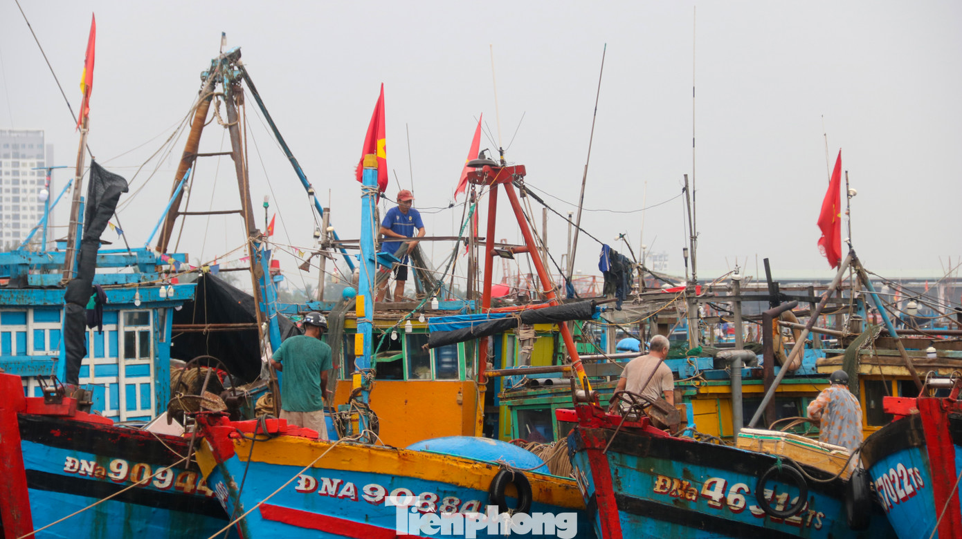Người dân Đà Nẵng hối hả neo đậu, di dời tàu thuyền chống bão số 5 ảnh 15