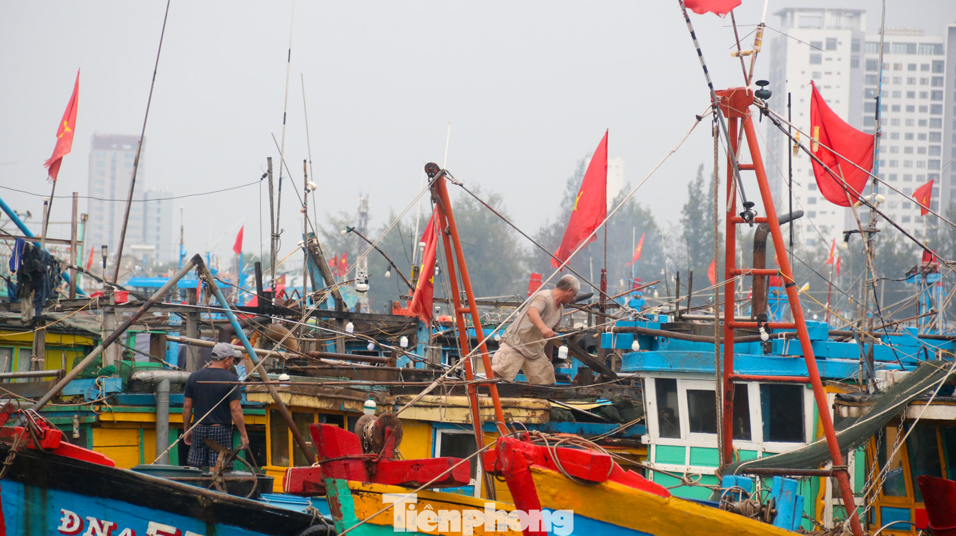 Người dân Đà Nẵng hối hả neo đậu, di dời tàu thuyền chống bão số 5 ảnh 12