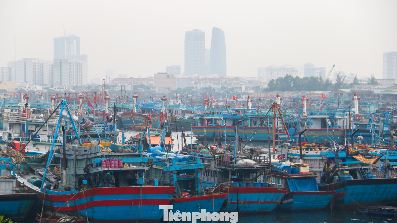 Người dân Đà Nẵng hối hả neo đậu, di dời tàu thuyền chống bão số 5 ảnh 9
