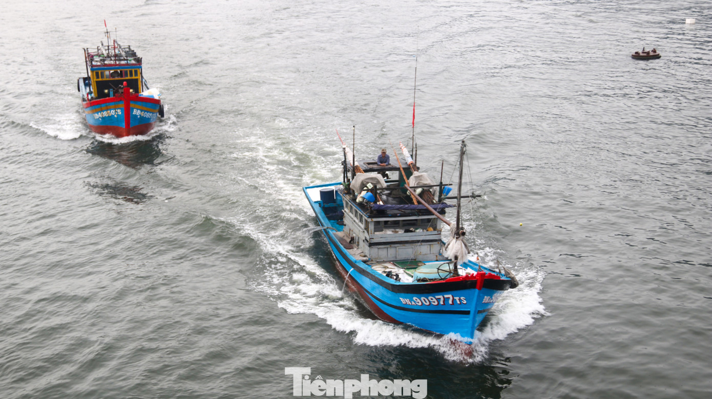 Người dân Đà Nẵng hối hả neo đậu, di dời tàu thuyền chống bão số 5 ảnh 16