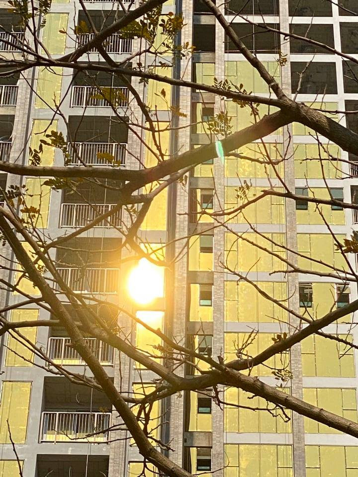 Chủ cao ốc 'dát vàng' xin thí điểm chống phản quang để tránh chói loá ảnh 2