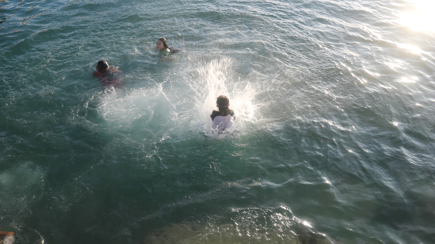 Kình ngư nhí ngụp lặn giữa biển chiều Lý Sơn ảnh 7