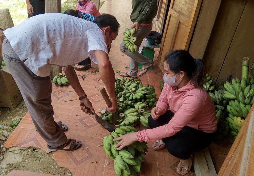 Xúc động cảnh dân huyện nghèo trèo đèo, lội suối hái rau quả tặng miền xuôi chống COVID-19 ảnh 5