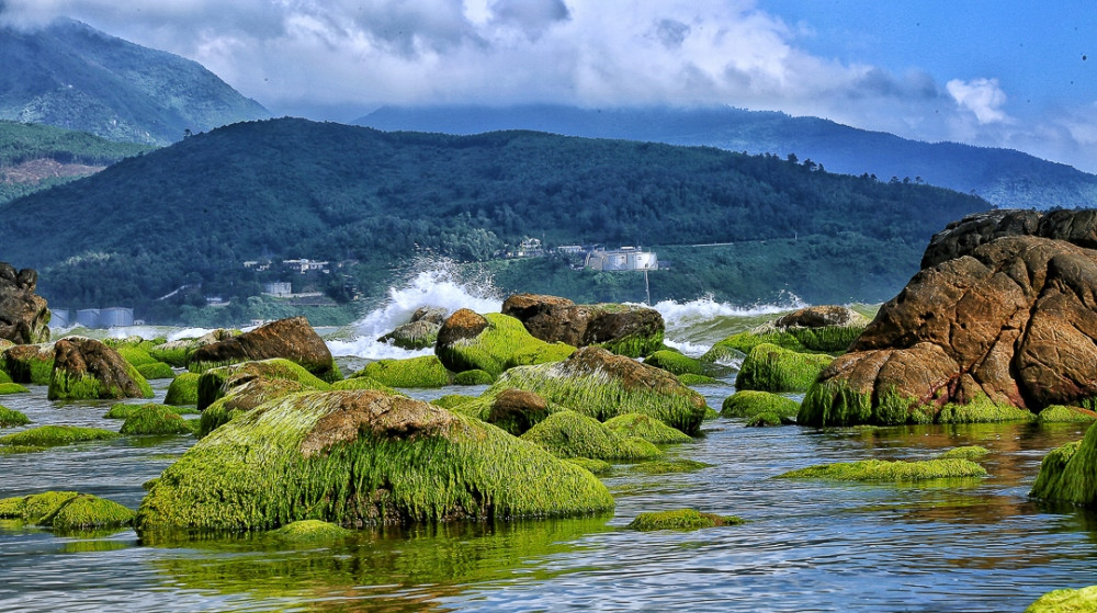 Ấn tượng loạt ảnh về môi trường và đa dạng sinh học Đà Nẵng ảnh 18