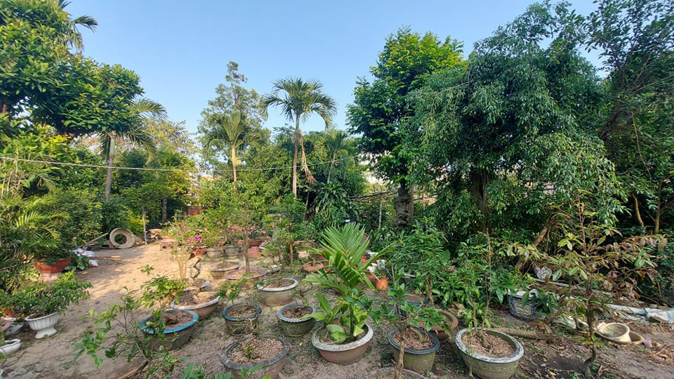 Vụ 'đền bù đất thấp hơn giá thị trường 1.000 lần': Hoãn toà vì lãnh đạo quận bận họp ảnh 1