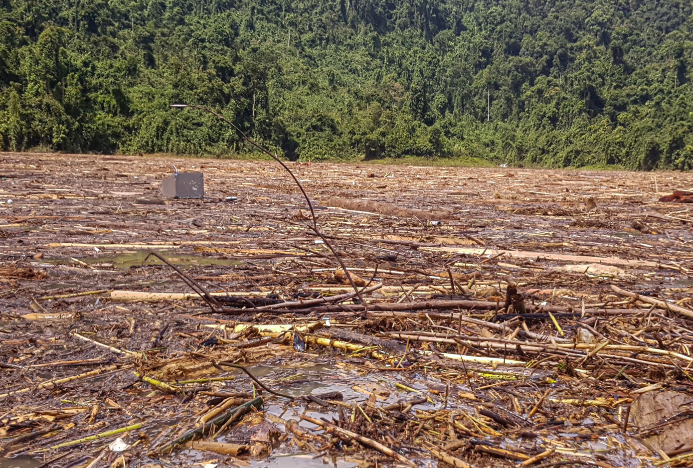 Tìm thi thể nạn nhân vụ sạt lở giữa lòng hồ thuỷ điện dày đặc cây rừng ảnh 10