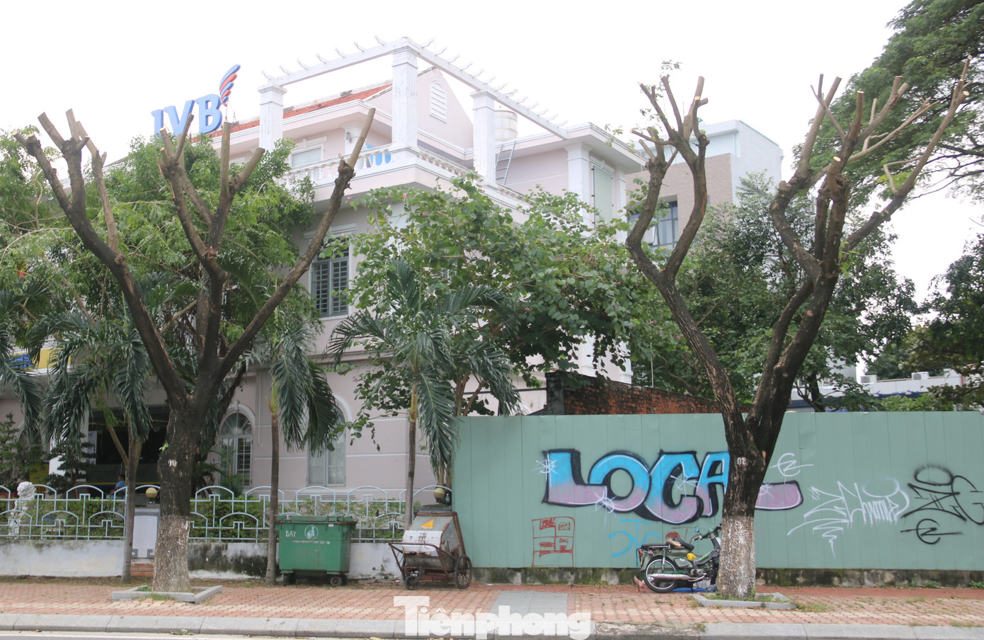 Hàng trăm cây xanh ở Đà Nẵng bất ngờ bị cắt trụi cành ảnh 10