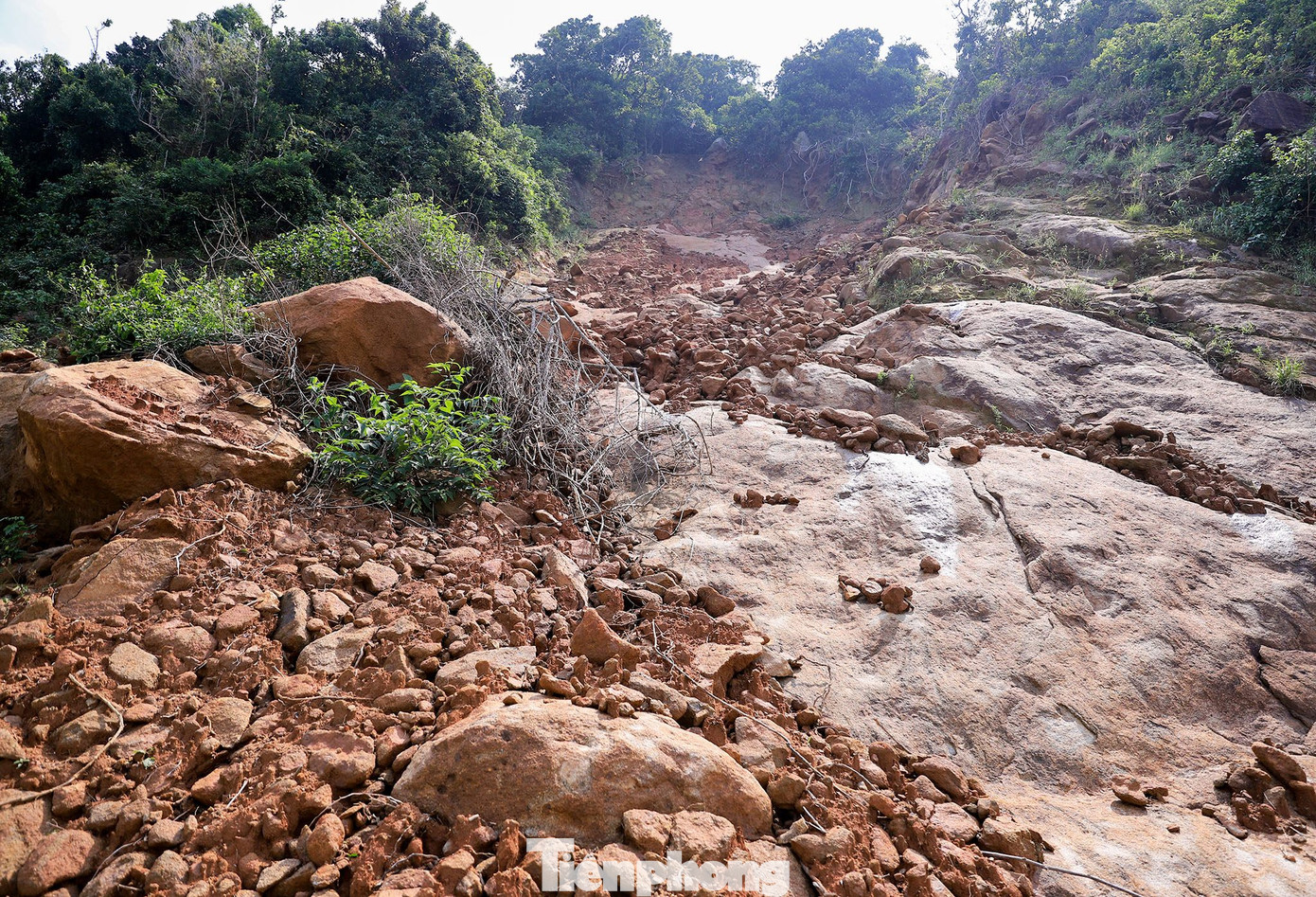 Bán đảo Sơn Trà sạt lở nghiêm trọng sau mưa bão, tiềm ẩn nguy hiểm ảnh 8