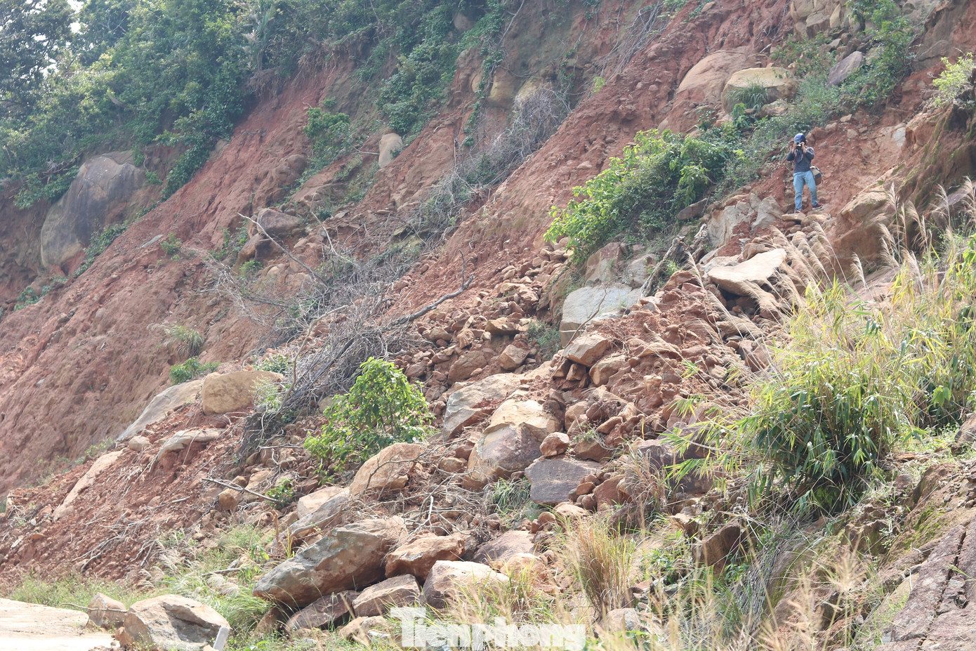 Bán đảo Sơn Trà sạt lở nghiêm trọng sau mưa bão, tiềm ẩn nguy hiểm ảnh 1