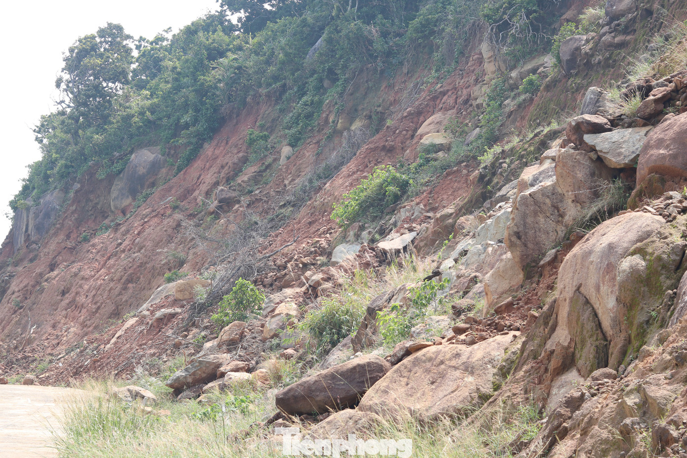 Bán đảo Sơn Trà sạt lở nghiêm trọng sau mưa bão, tiềm ẩn nguy hiểm ảnh 3