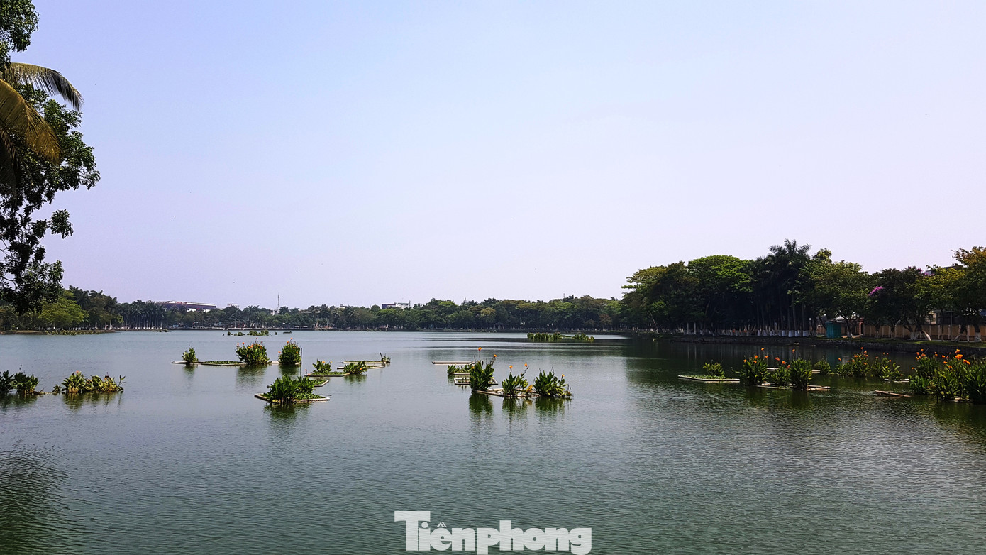 Công viên lớn nhất Đà Nẵng được thiết kế kiến trúc độc đáo ảnh 12