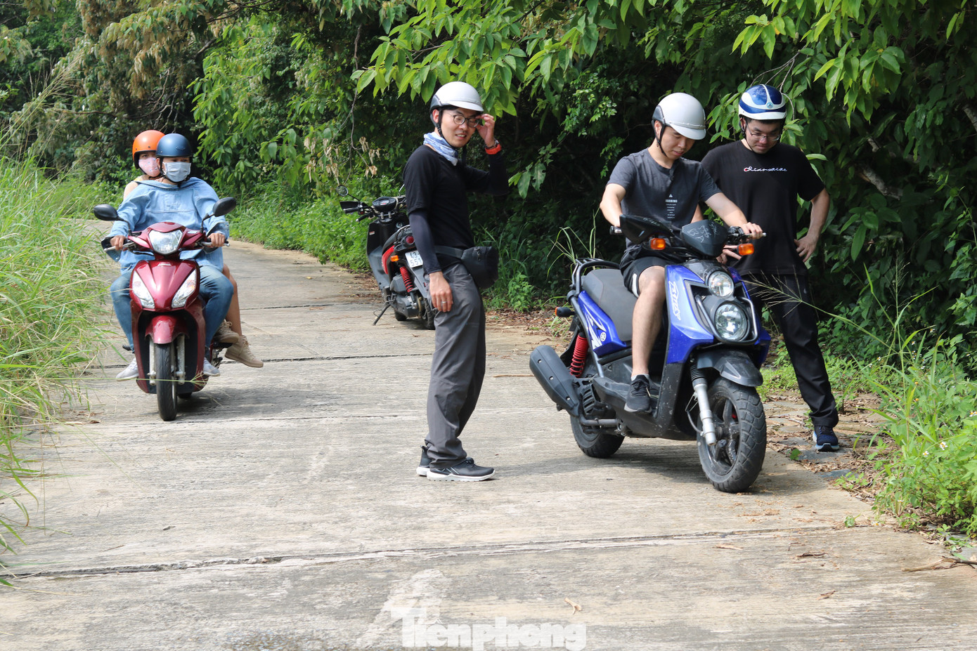 Vì sao muốn lên bán đảo Sơn Trà người dân phải đeo thẻ? ảnh 1