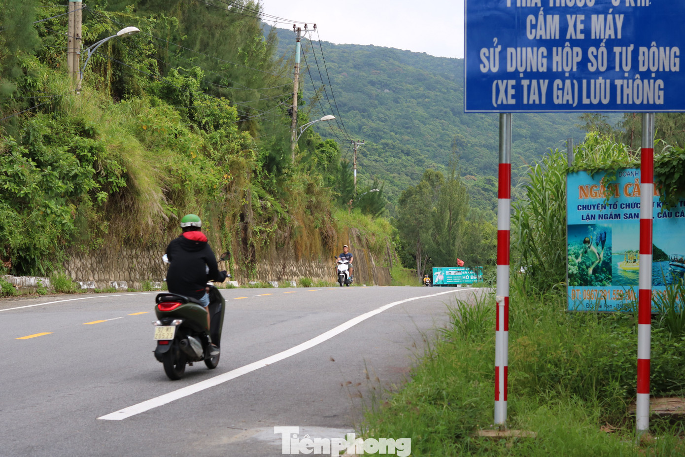 Vì sao muốn lên bán đảo Sơn Trà người dân phải đeo thẻ? ảnh 2
