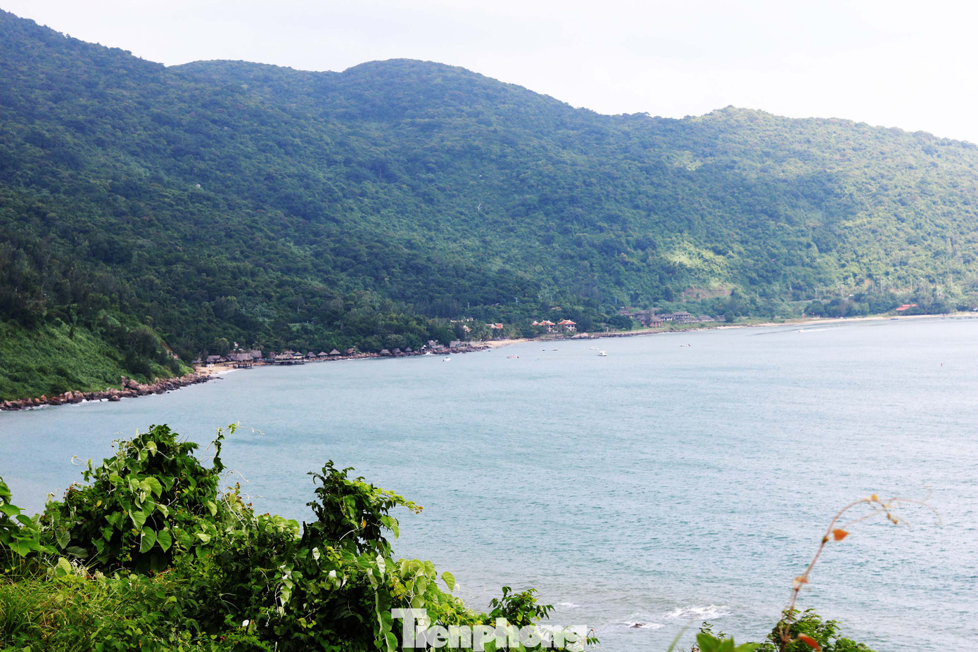 Vì sao muốn lên bán đảo Sơn Trà người dân phải đeo thẻ? ảnh 4