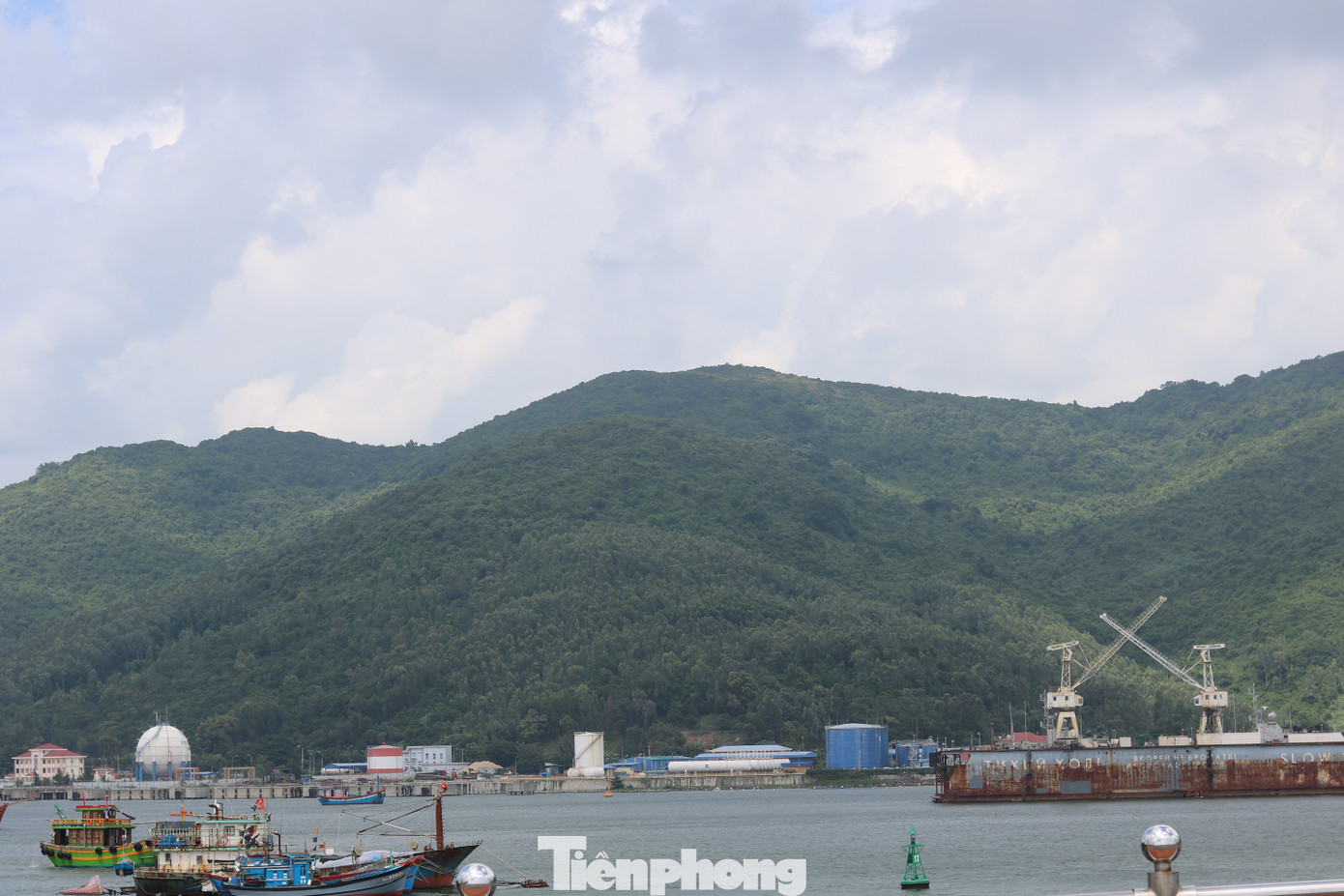 Vì sao muốn lên bán đảo Sơn Trà người dân phải đeo thẻ? ảnh 5