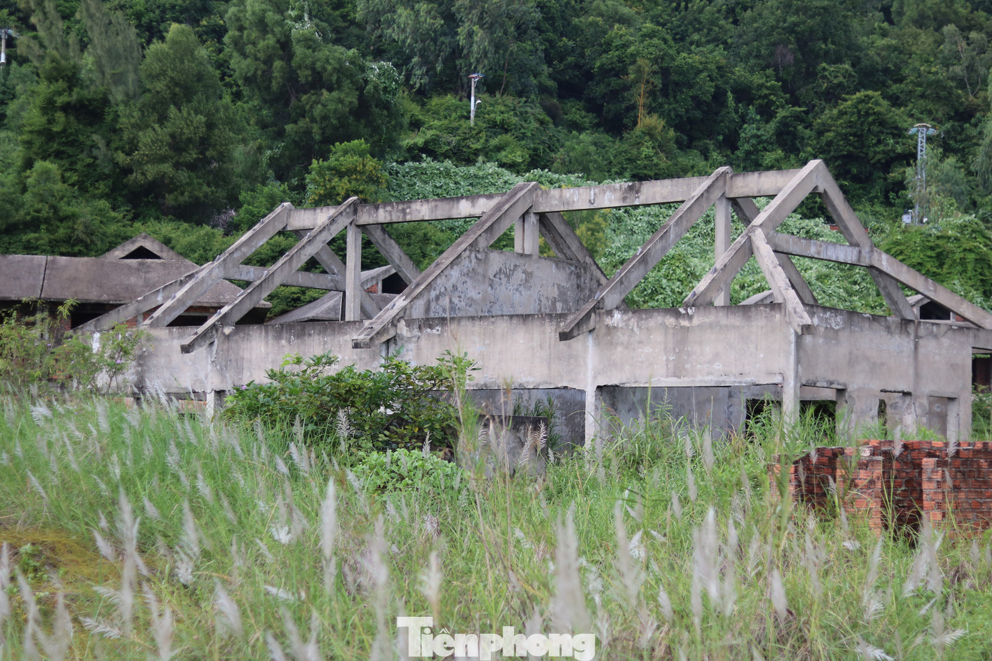 Cận cảnh những dự án 'băm nát' bán đảo Sơn Trà bị bỏ hoang ảnh 5