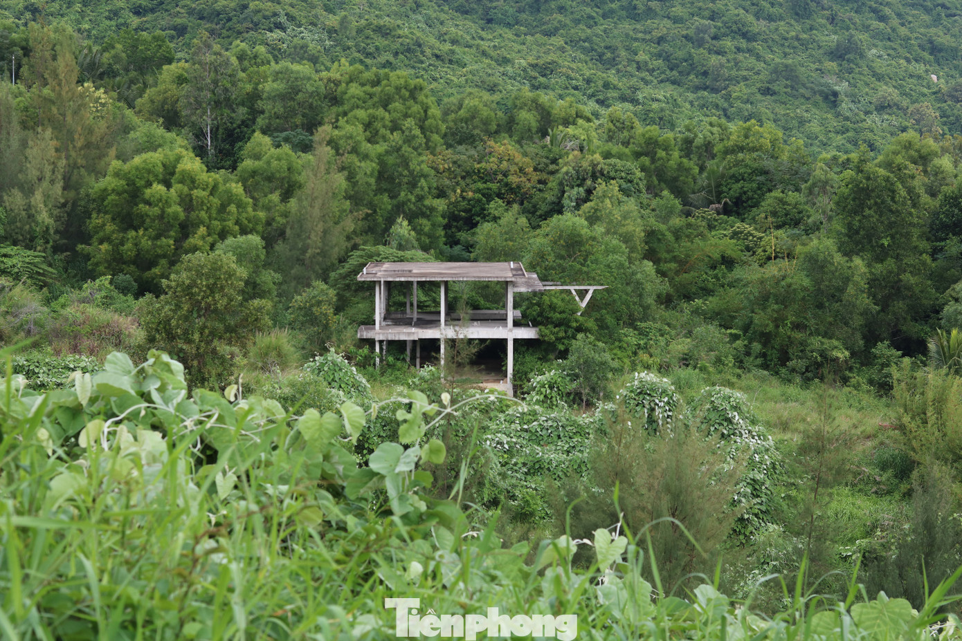 Cận cảnh những dự án 'băm nát' bán đảo Sơn Trà bị bỏ hoang ảnh 11