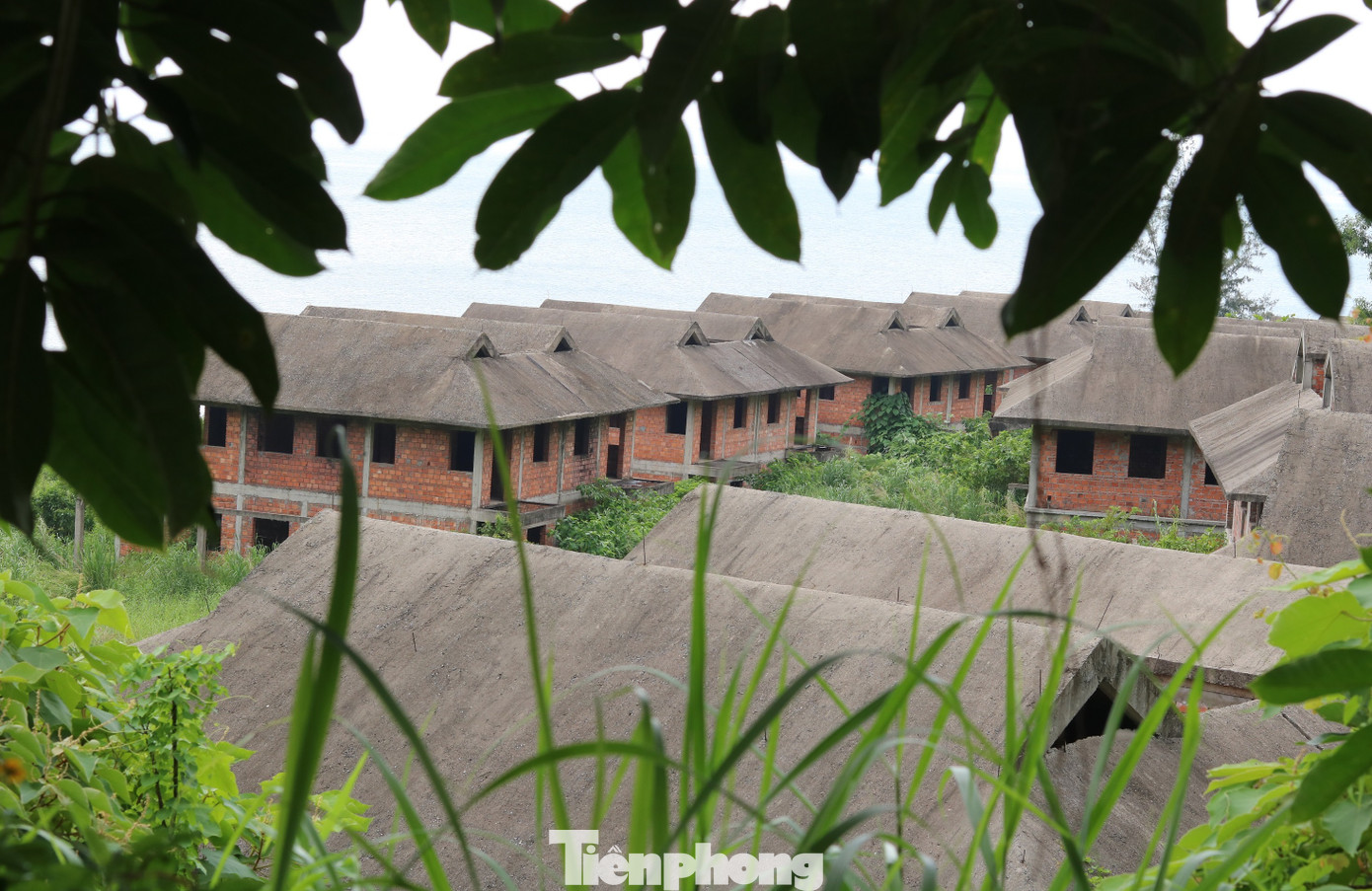 Cận cảnh những dự án 'băm nát' bán đảo Sơn Trà bị bỏ hoang ảnh 4