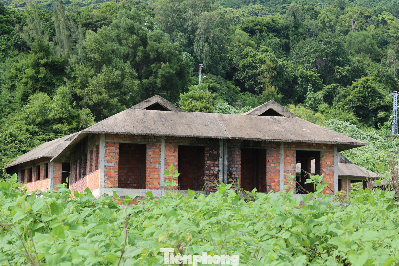 Cận cảnh những dự án 'băm nát' bán đảo Sơn Trà bị bỏ hoang ảnh 8