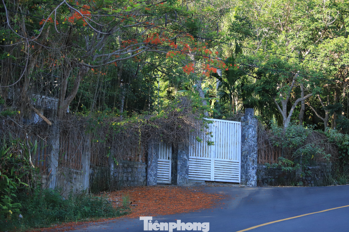 Cận cảnh những dự án 'băm nát' bán đảo Sơn Trà bị bỏ hoang ảnh 19