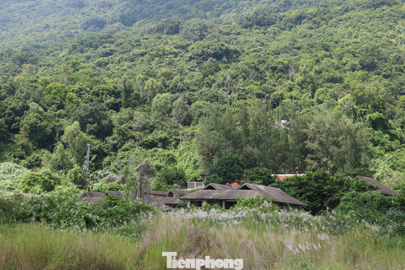 Cận cảnh những dự án 'băm nát' bán đảo Sơn Trà bị bỏ hoang ảnh 2