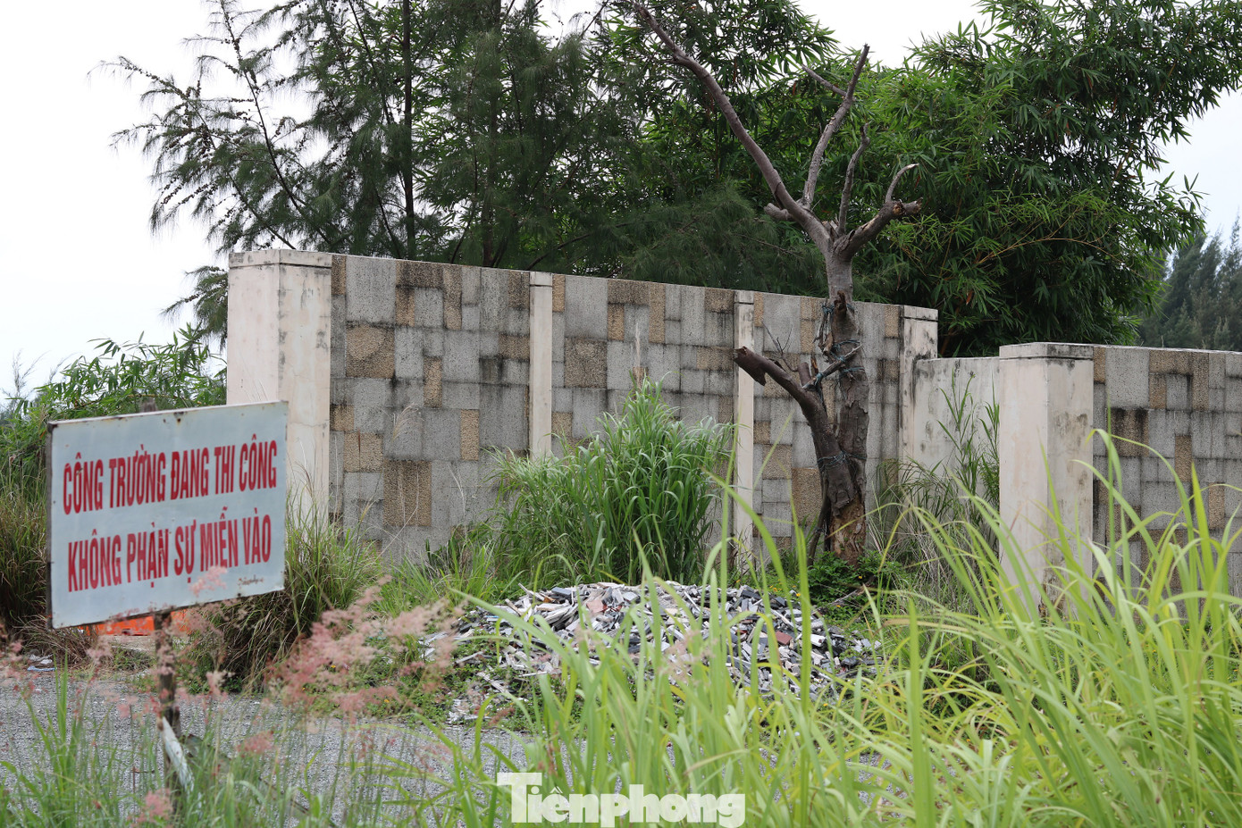 Cận cảnh những dự án 'băm nát' bán đảo Sơn Trà bị bỏ hoang ảnh 17