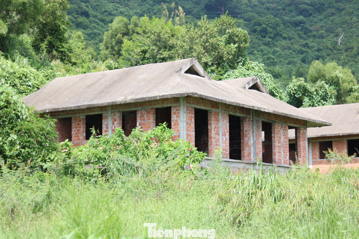 Cận cảnh những dự án 'băm nát' bán đảo Sơn Trà bị bỏ hoang ảnh 6