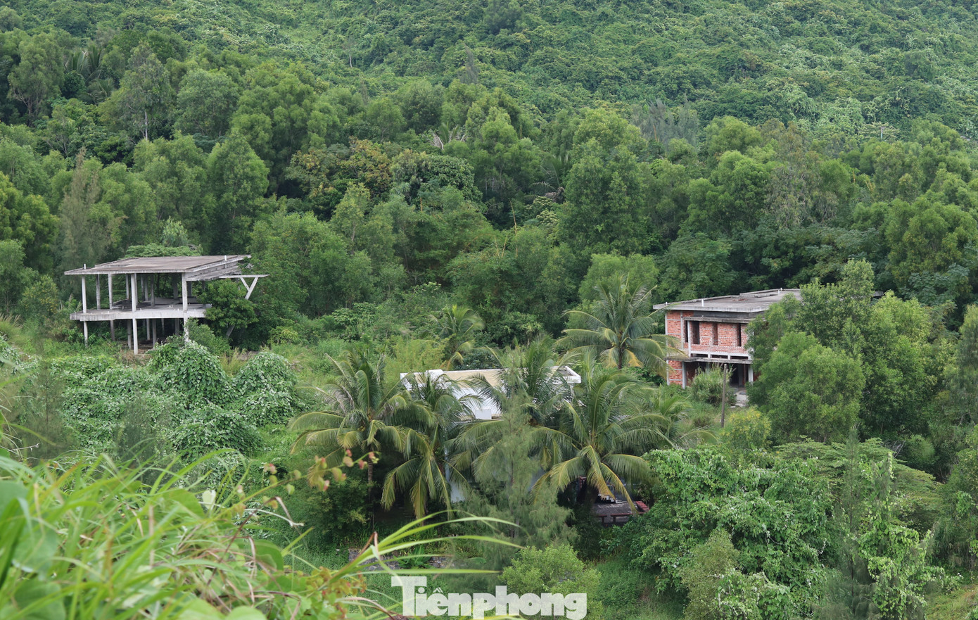 Cận cảnh những dự án 'băm nát' bán đảo Sơn Trà bị bỏ hoang ảnh 10