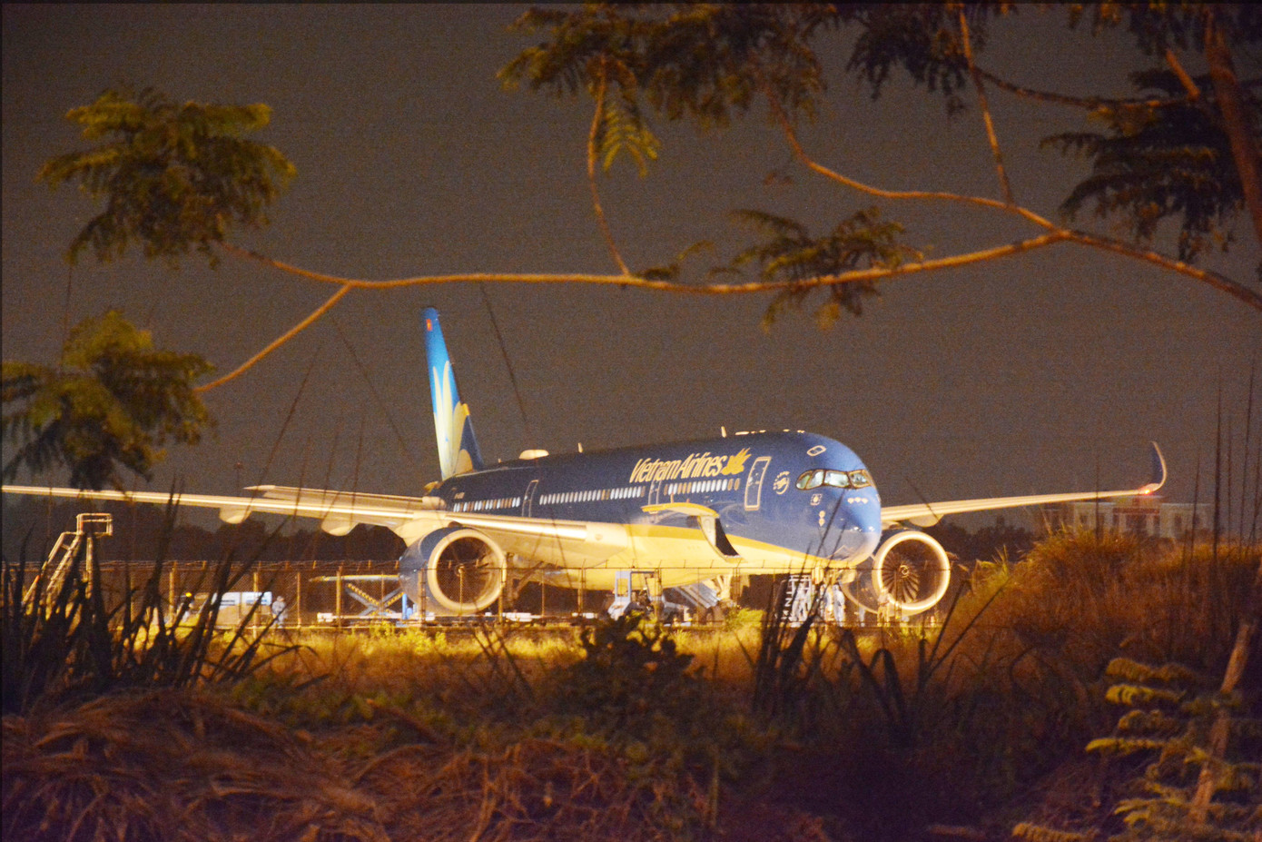 Đón và cách ly 55 người từ Italia về Việt Nam ảnh 1