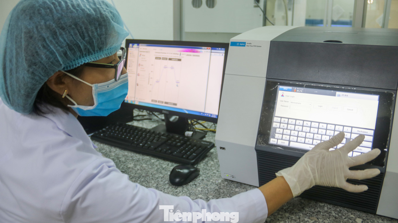 Giá 1,4 tỷ đồng, máy phục vụ xét nghiệm COVID-19 của Đà Nẵng hoạt động như thế nào? ảnh 6