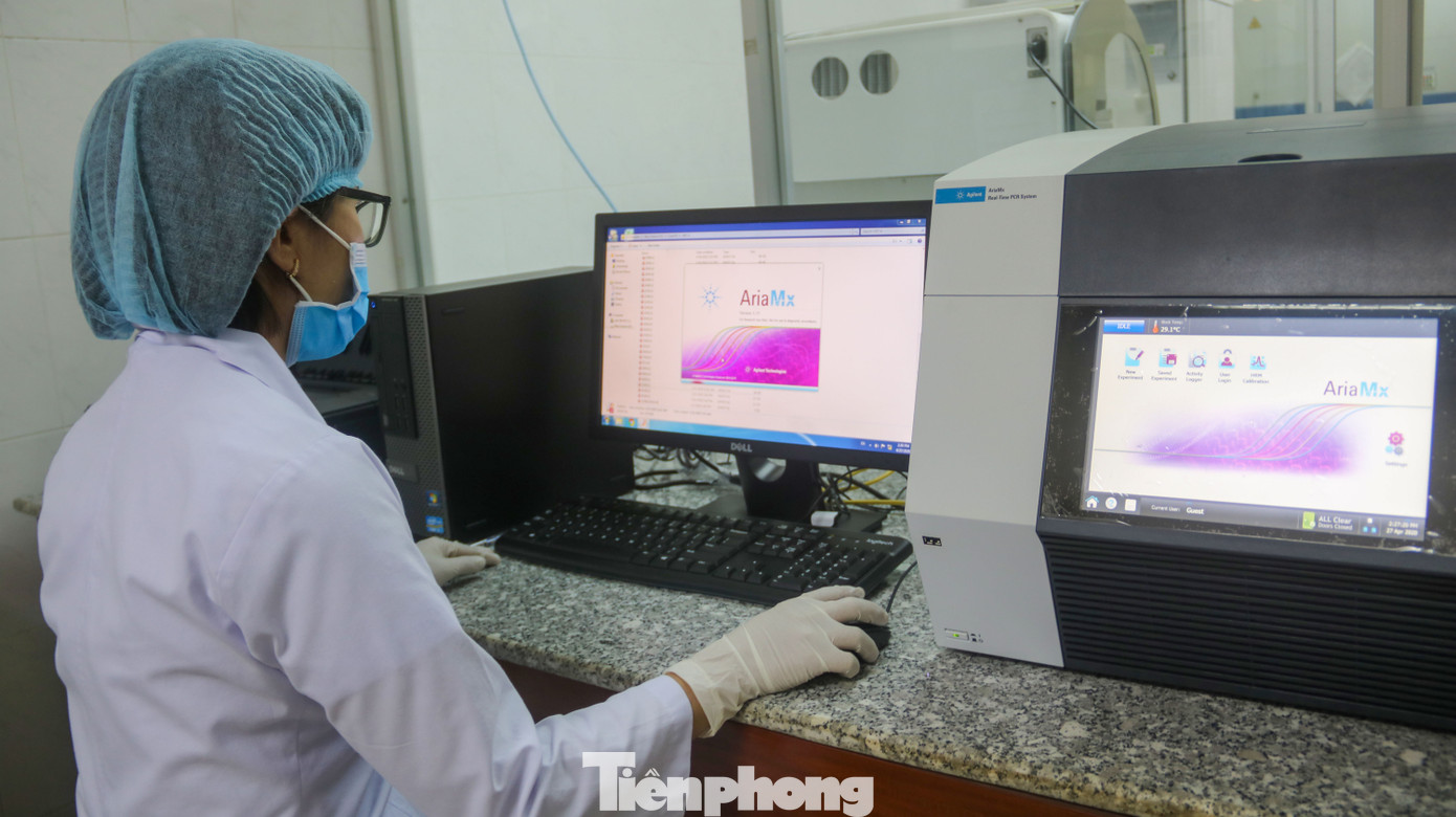 Giá 1,4 tỷ đồng, máy phục vụ xét nghiệm COVID-19 của Đà Nẵng hoạt động như thế nào? ảnh 4