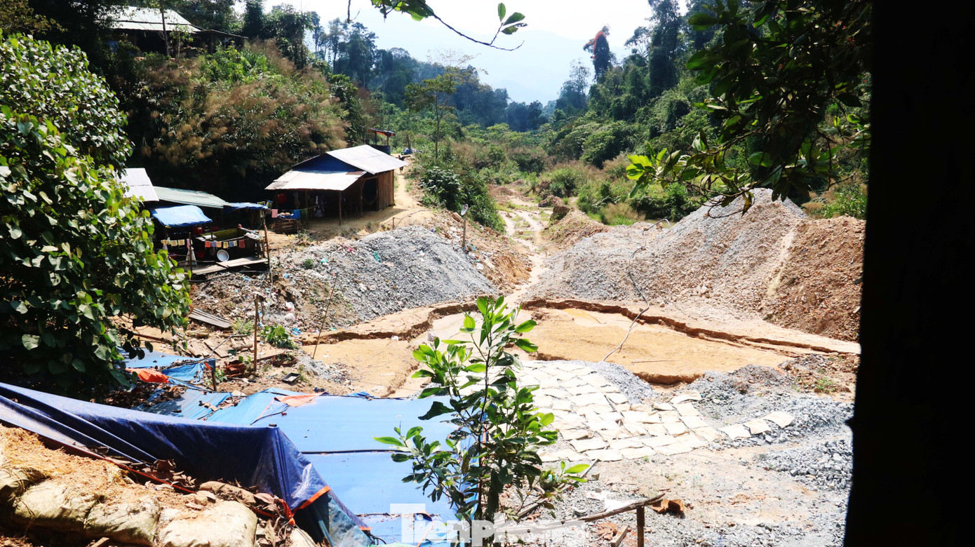 'Đột kích' công trường khai thác vàng trái phép giữa rừng Phước Sơn ảnh 2
