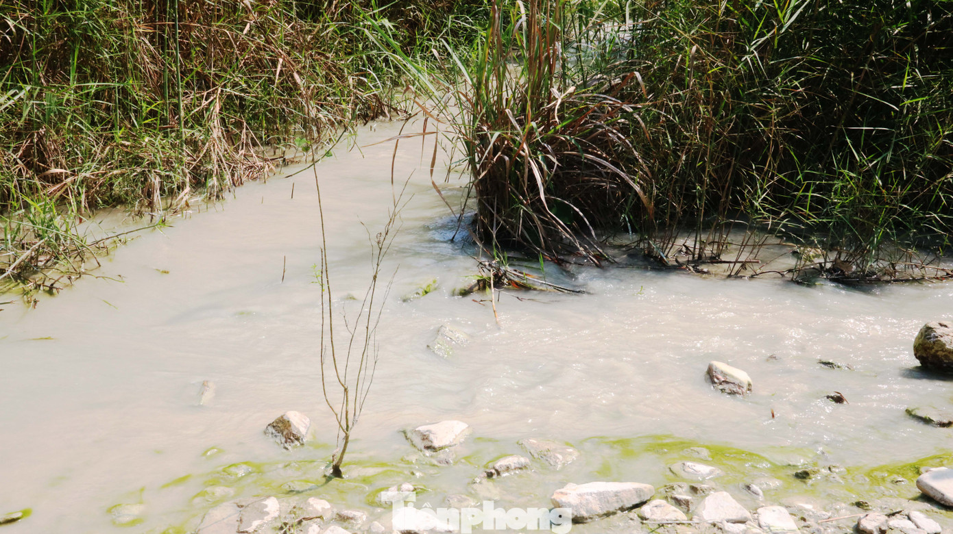 'Đột kích' công trường khai thác vàng trái phép giữa rừng Phước Sơn ảnh 10