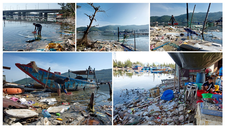 Ấn tượng loạt ảnh về môi trường và đa dạng sinh học Đà Nẵng ảnh 20