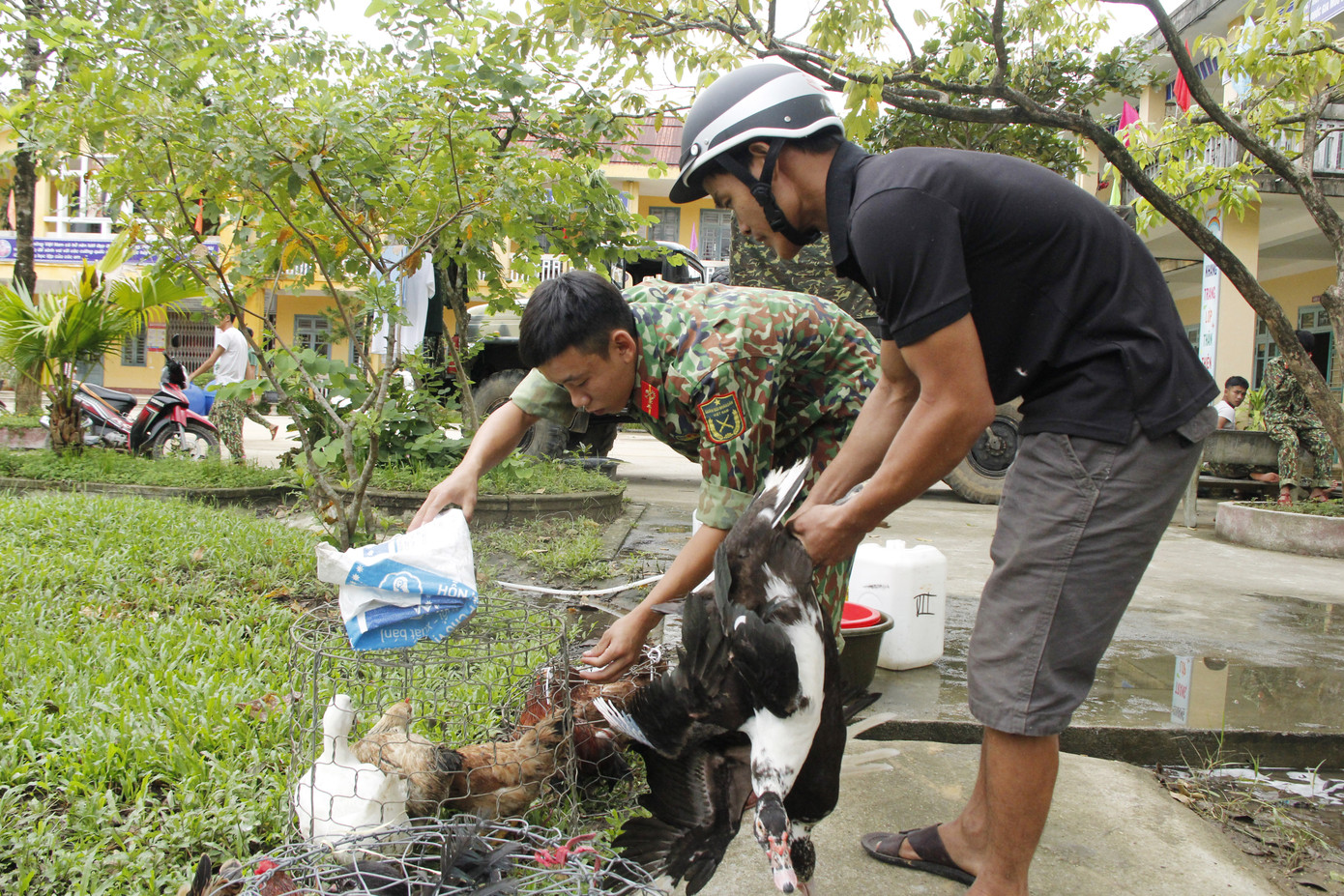 Người dân mang gà, vịt, rau quả 'tiếp sức' lực lượng cứu hộ ở Rào Trăng 3 ảnh 1