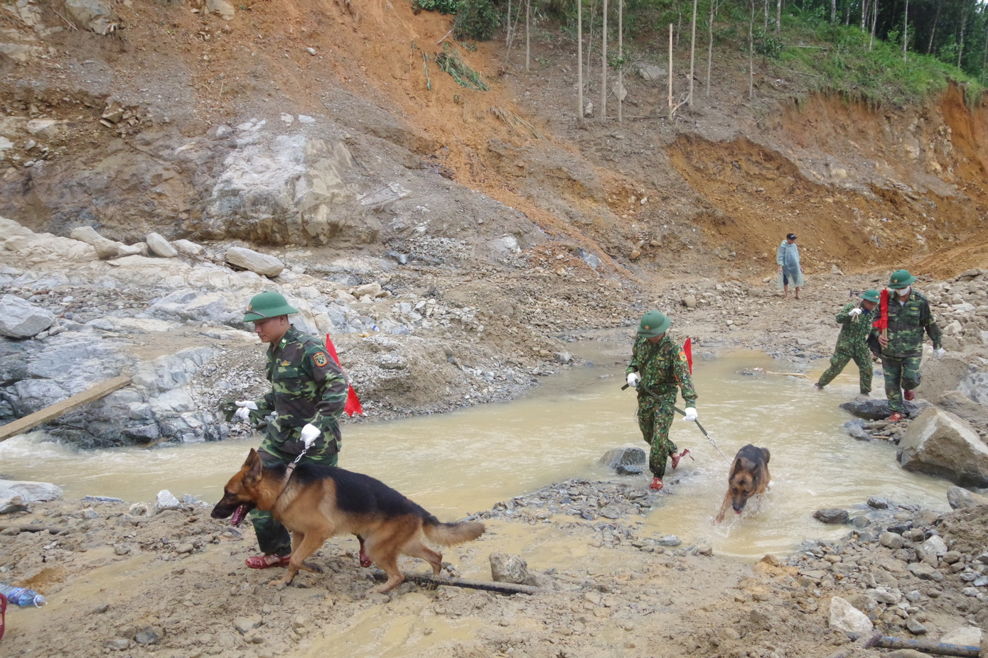 Chó nghiệp vụ xác định nhiều vị trí nghi ngờ có thi thể mất tích ở Trà Leng ảnh 1